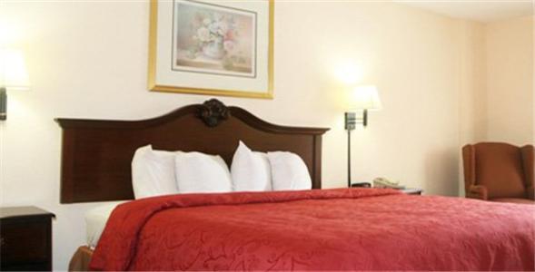 Cherry Lane Motor Inn Amish Country Ronks Rum bild