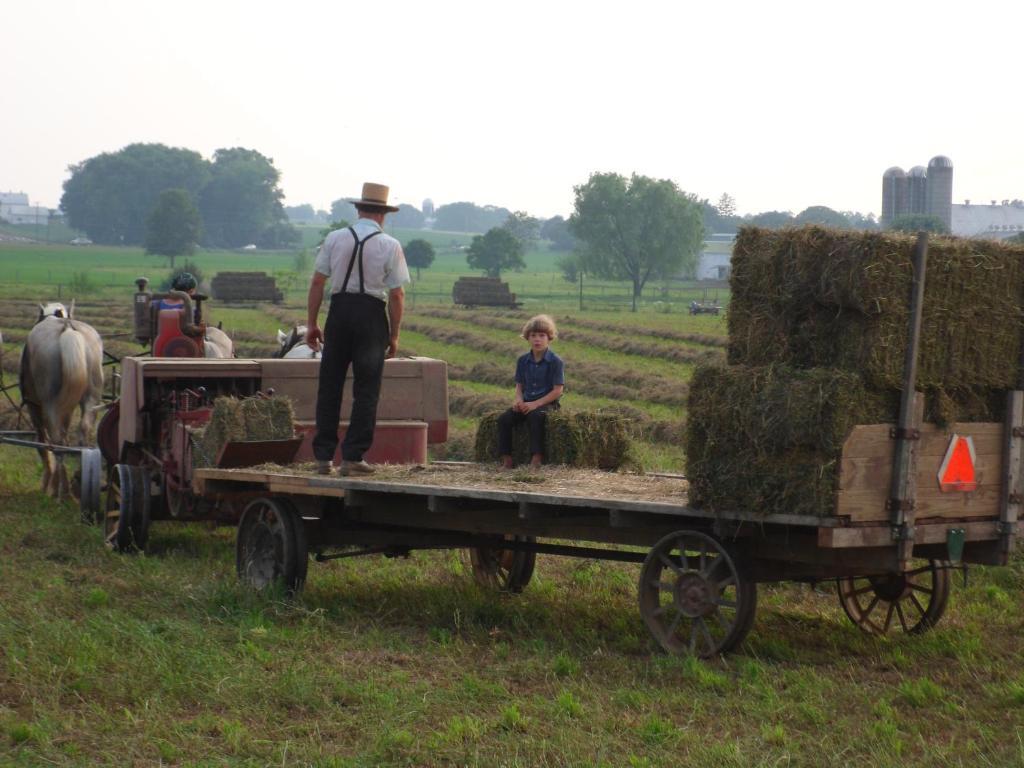 Cherry Lane Motor Inn Amish Country Ronks Exteriör bild